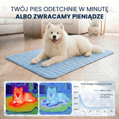 Coltly 2.0 Chłodząca mata dla psa